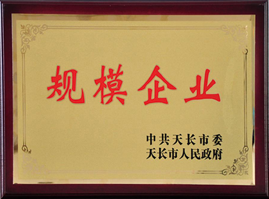 規(guī)模企業(yè)